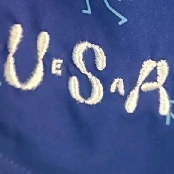 Nike Dri-FIT Team USA Womens Size Med Brief Lined Blue Running Shorts FN1185-417 - Picture 5 of 9